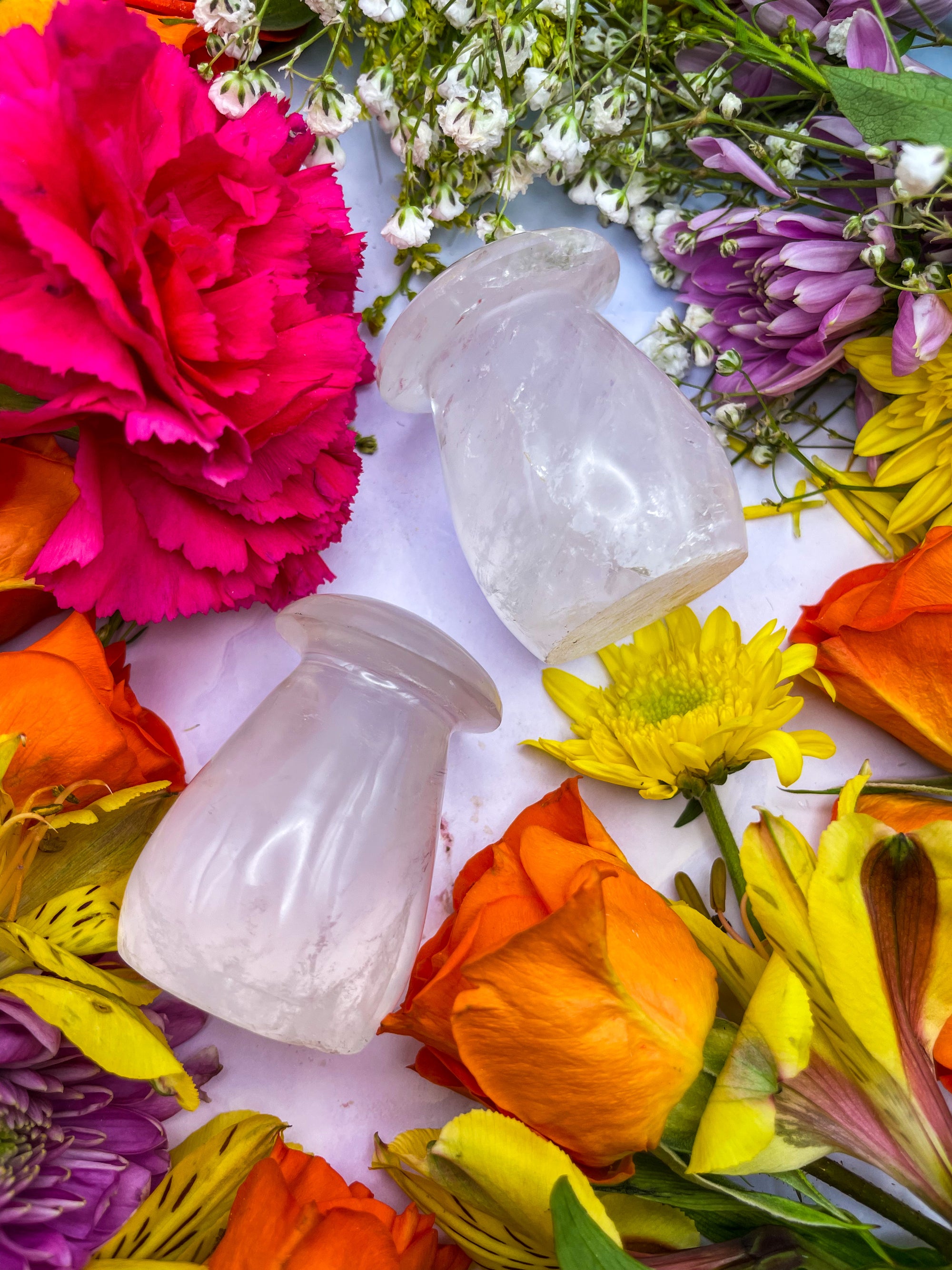 Quartz Mushrooms | Mycelium DNA ACTIVATED